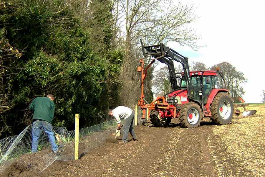 Chainlink Fencing