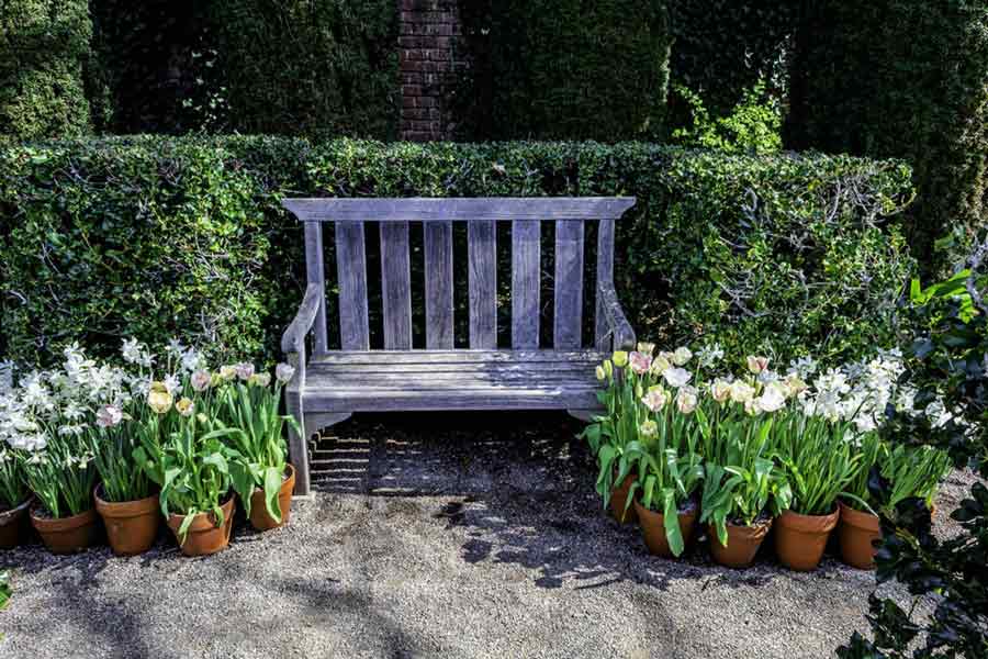 Pruning