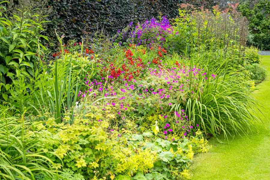 Garden Services Berkshire & Wiltshire - Broadmead Estates Ltd