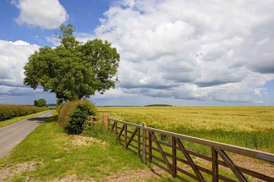 Fencing and Gate Services - Broadmead Estates