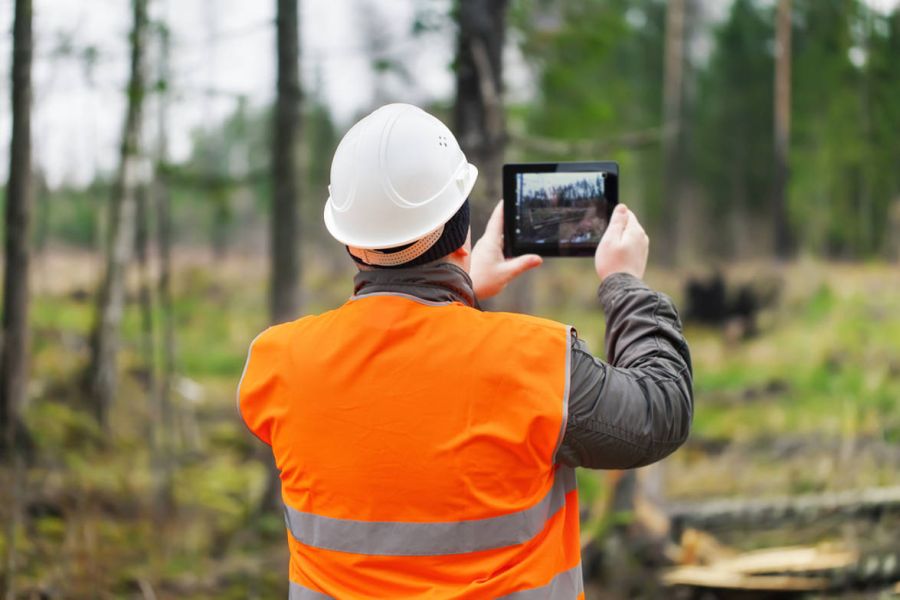 Tree Surveys