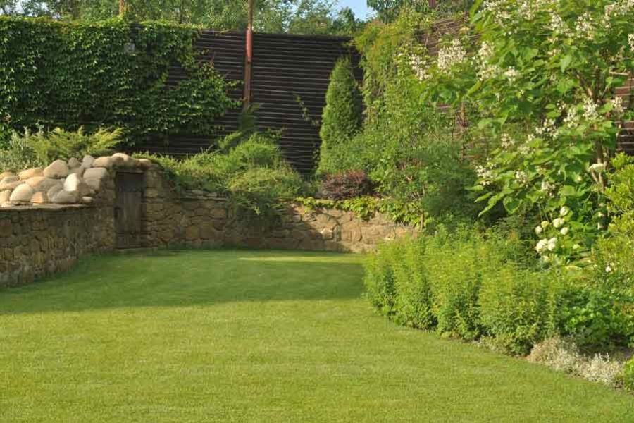 Lawn Maintenance