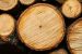 Woodland Management Services - Broadmead Estates Limited