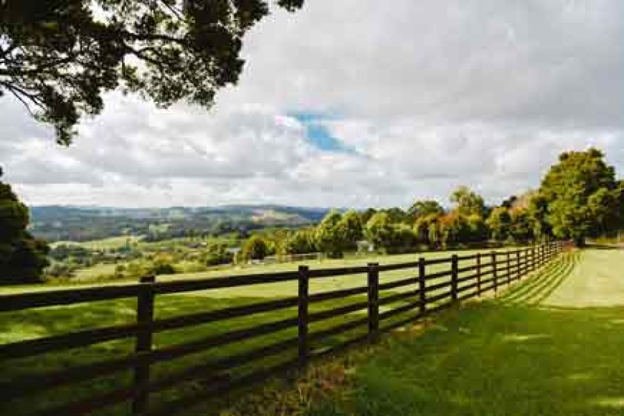 Wooden Fencing
