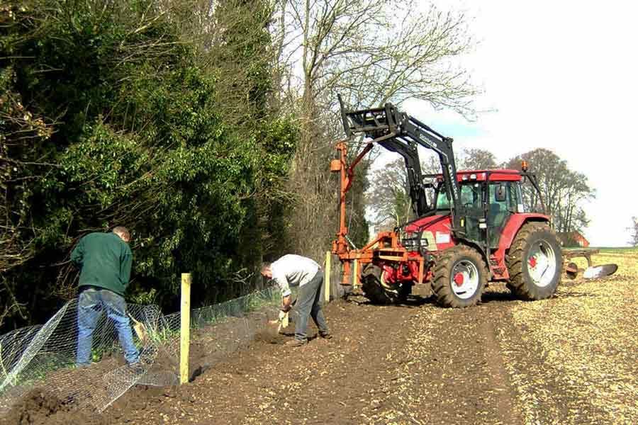 Chainlink Fencing