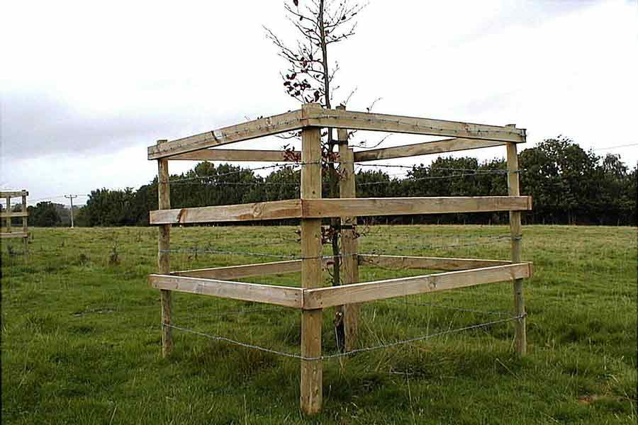 Tree Preservation